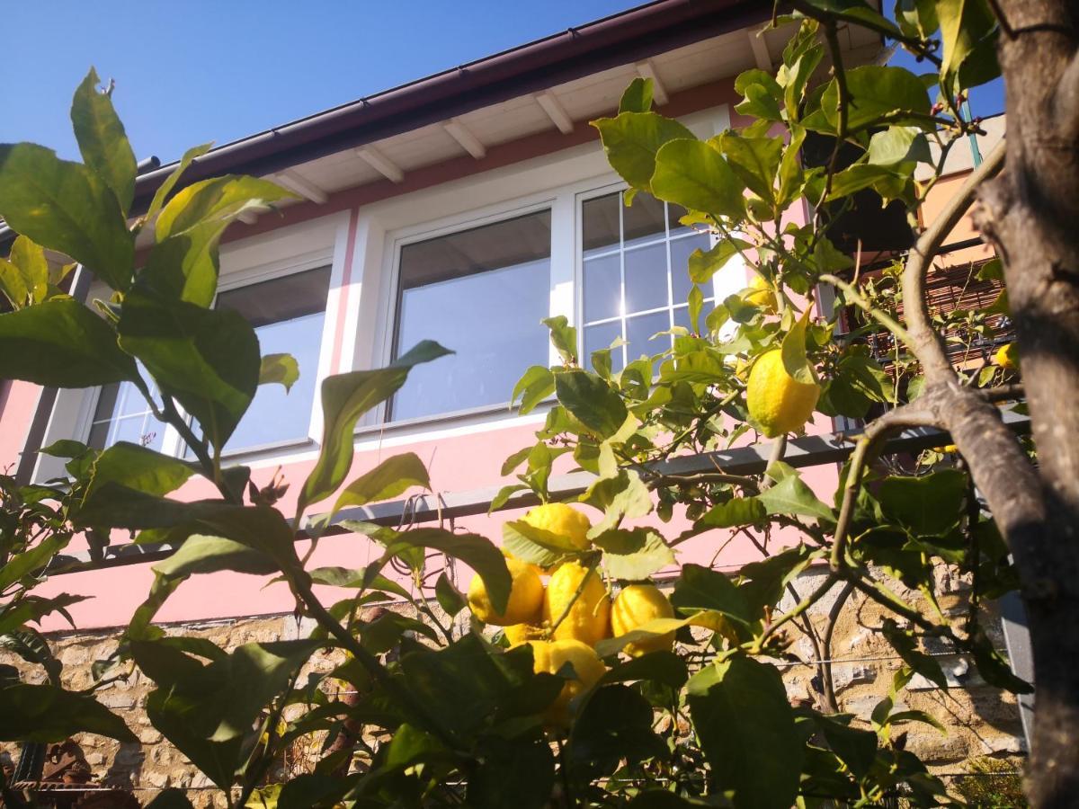 Florinda Lemon'S Suite Cervo Exterior photo