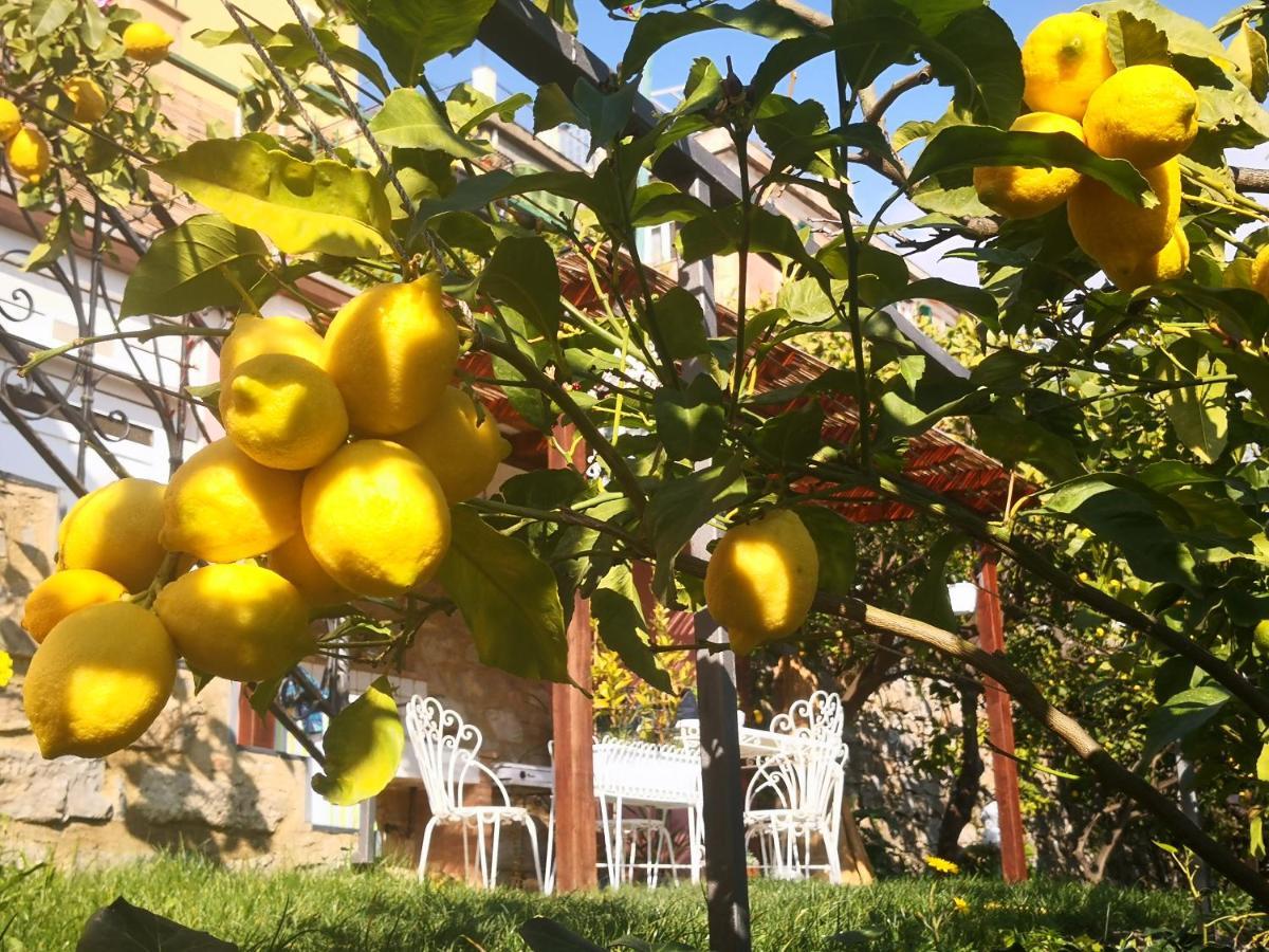 Florinda Lemon'S Suite Cervo Exterior photo