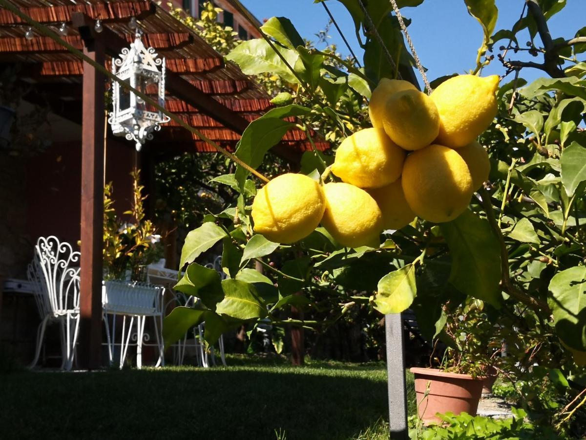 Florinda Lemon'S Suite Cervo Exterior photo
