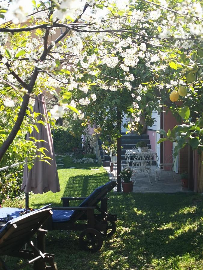Florinda Lemon'S Suite Cervo Exterior photo