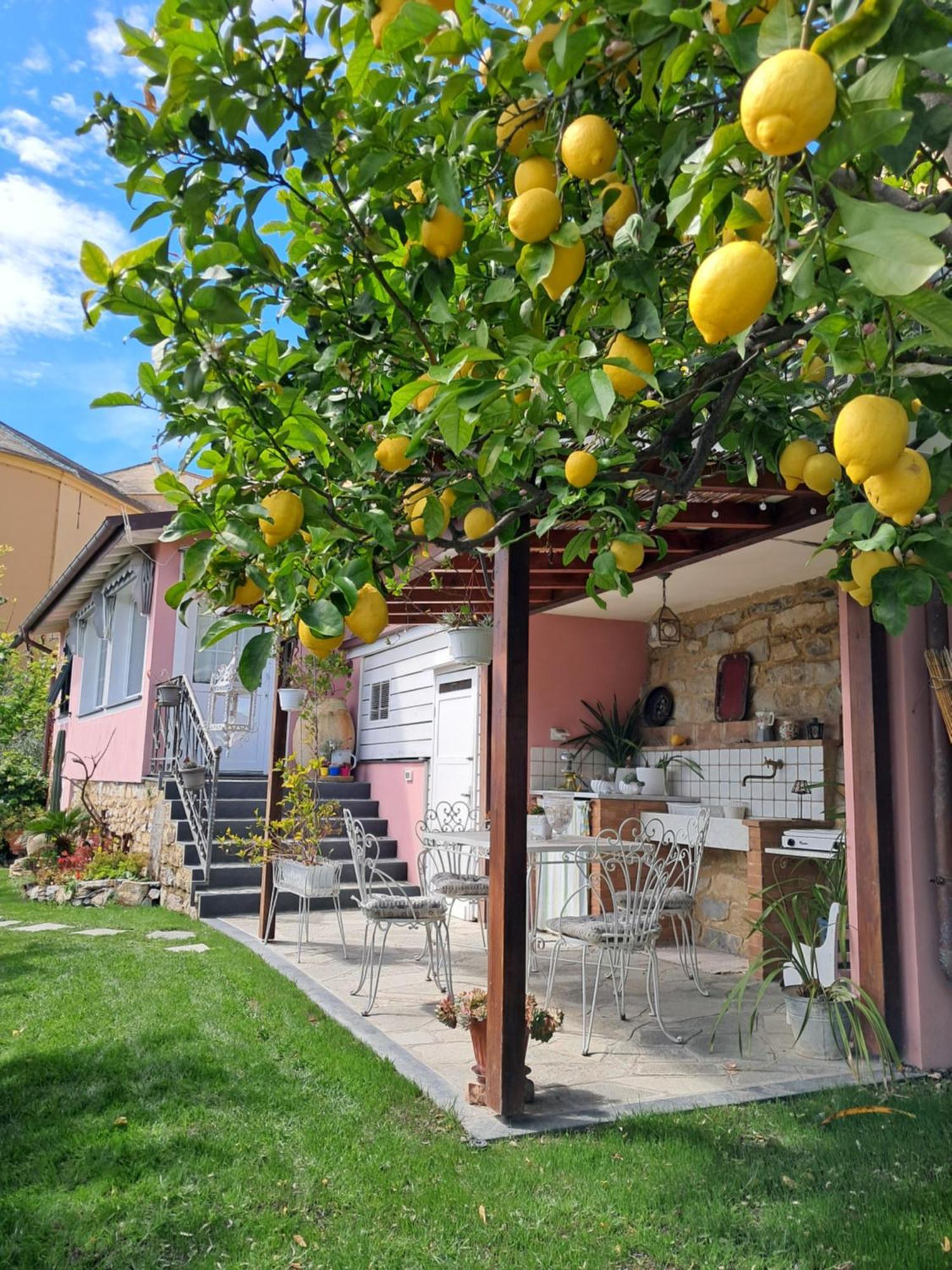 Florinda Lemon'S Suite Cervo Exterior photo