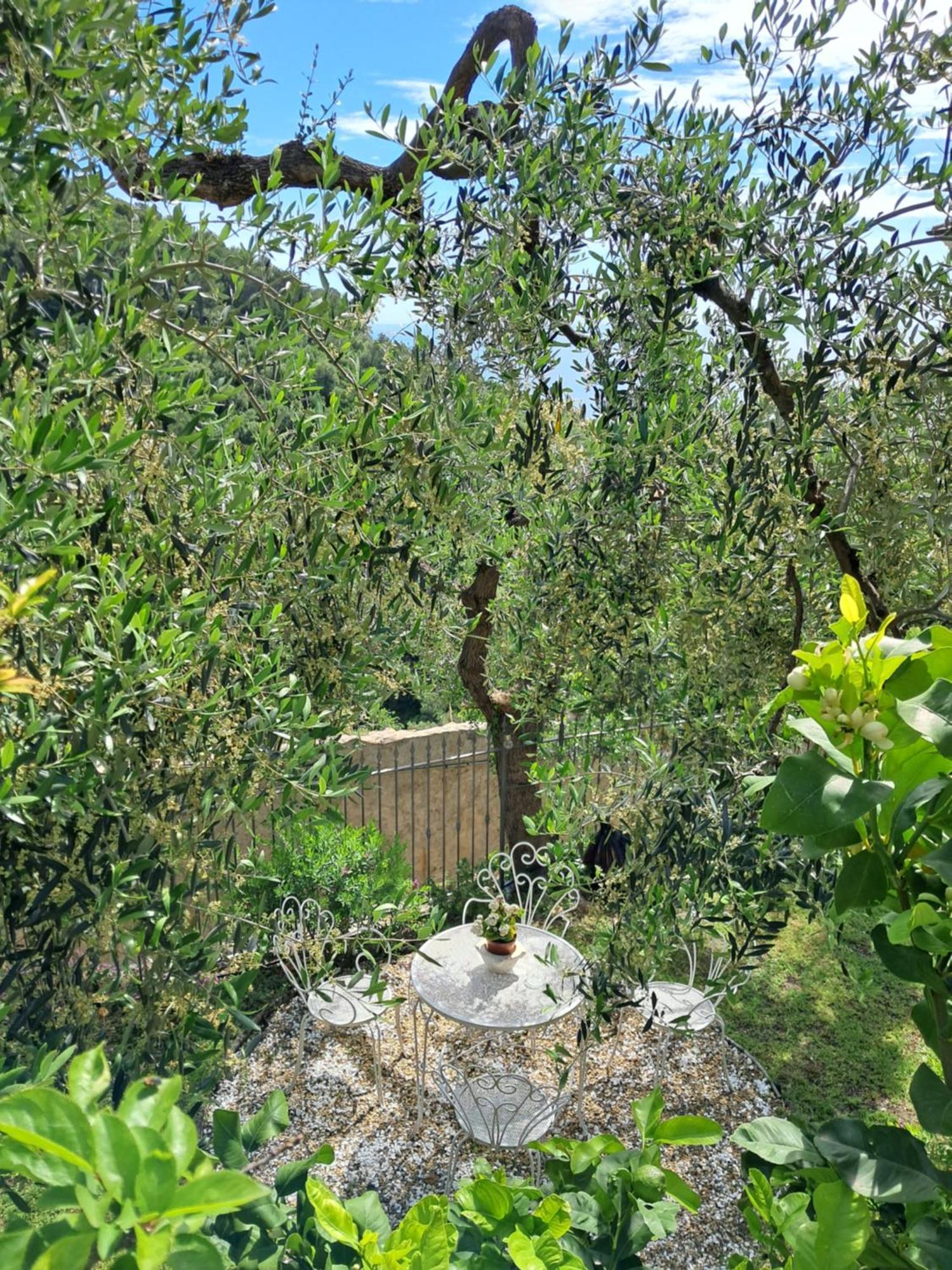 Florinda Lemon'S Suite Cervo Exterior photo